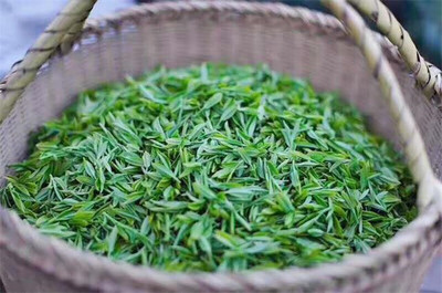 9月份茶叶线上销售额 江北茶区首个紫茶品种 联通5G智慧茶园