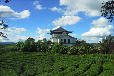 中华普洱茶博览苑有哪些特产